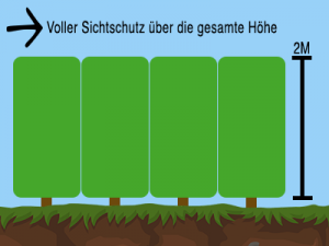 Sichtschutz bei rechteckigen Heckenpflanzen