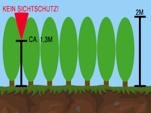 Sichtschutz bei immergrünen Heckenpflanzen